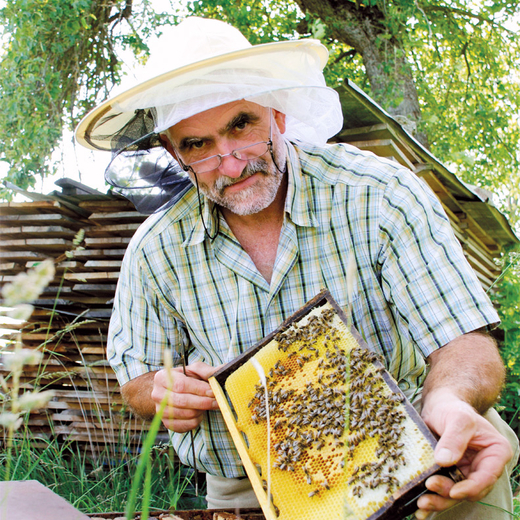 Rudi Betz, Inhaber des Bienenhof Betz, zeigt seine Bienen im Stock
